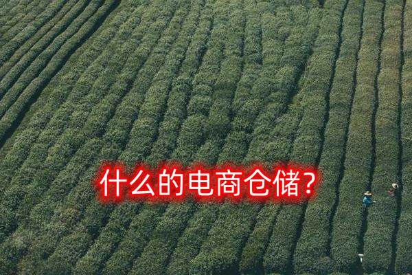 什么是電商倉儲(chǔ)？